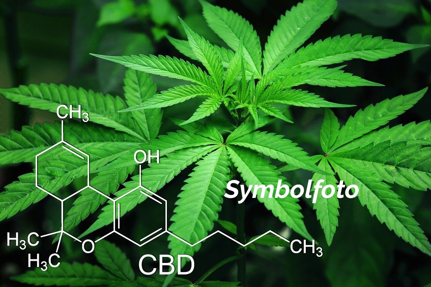 Symbolfoto Marihuana Hanf - Chemische Formel