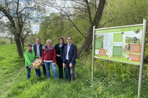 PM Hansestadt Warburg: Neue Infotafel informiert zur Obstbaumreihe am Werkgraben