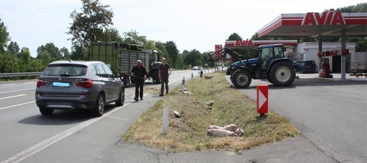 Polizei Unfall Ferkel Ostwestfalenstraße Sperrung Schweine