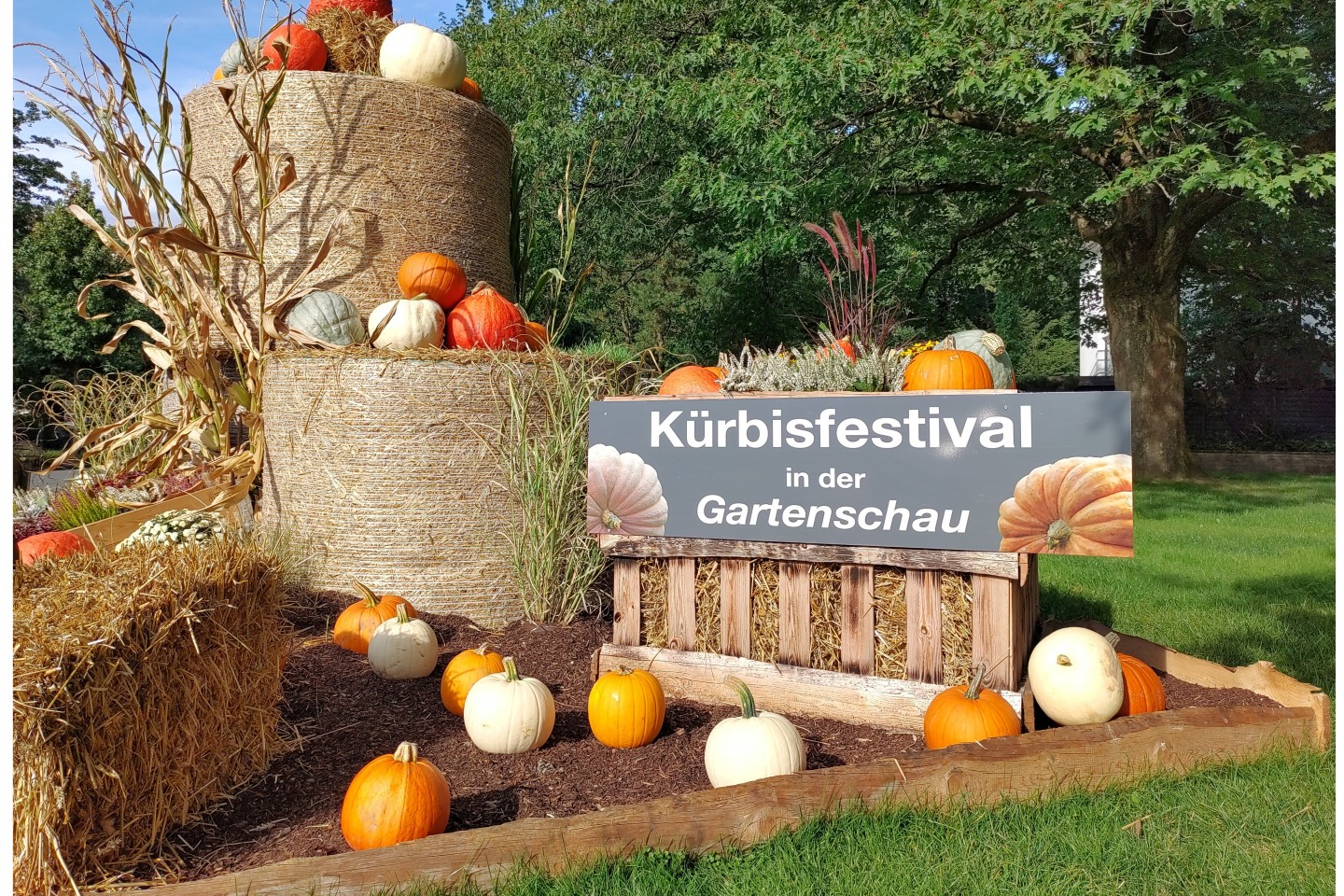 Ein Ausflug für die gesamte Familie das Kürbisfestival in der Gartenschau in Bad Lippspringe