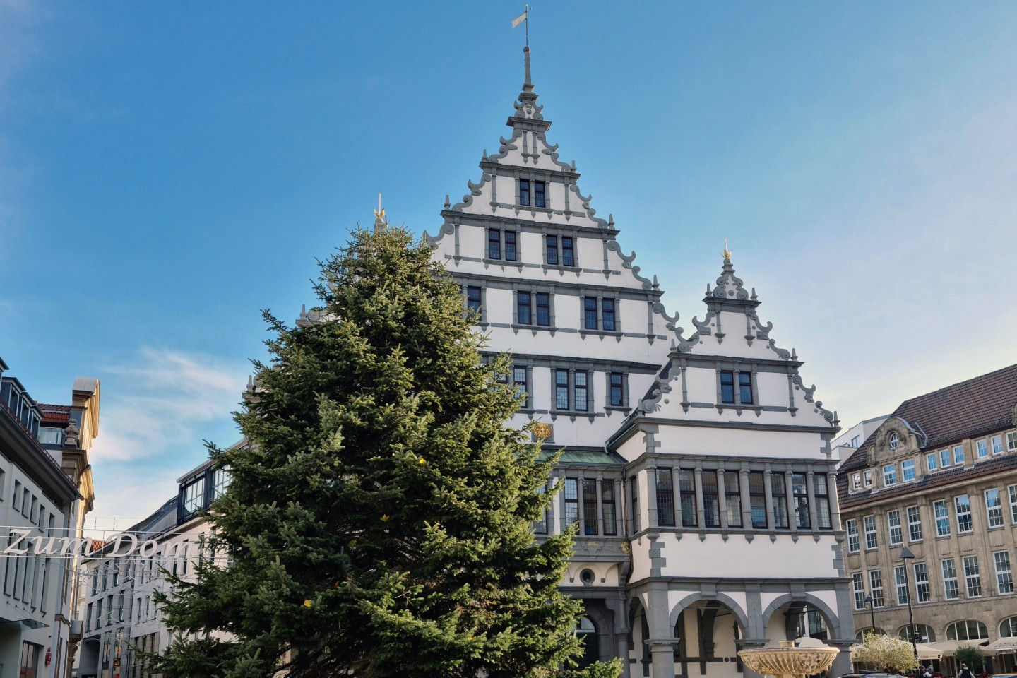 Dieser Weihnachtsbaum wurde am Mittwochmorgen aus Elsen nach Paderborn vor das historische Rathaus gebracht.