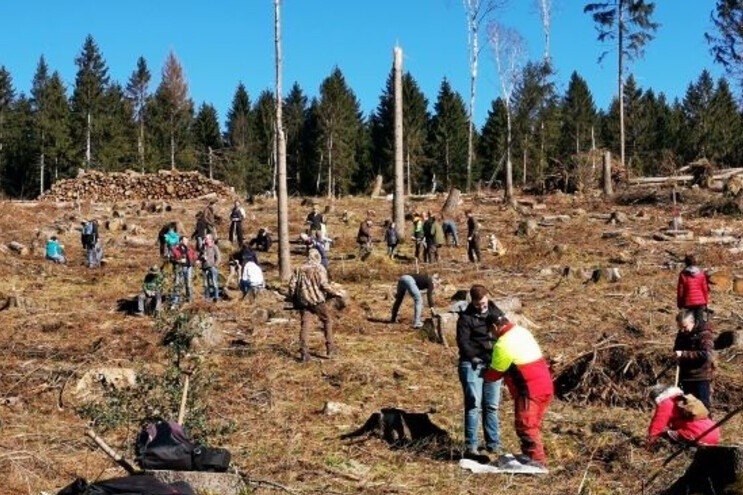 Viele Freiwillige bei der Aktion „Das Hochstift pflanzt“. (Frank Florian Bitter, Wald und Holz NRW)